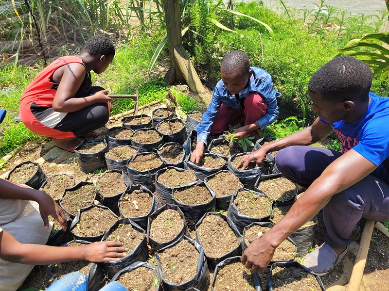 A rapid urban shift has elevated cities into economic powerhouses that can foster innovation, economic development &amp; social interactions. Check out some examples of how <a href="/GEF_SGP/">Small Grants Programme</a> supports #LocalAction to address urban environmental issues: wrld.bg/BlHX50Qx0xV