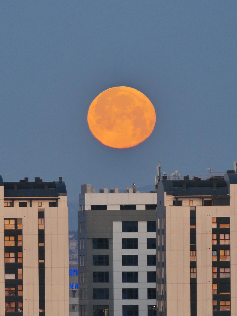 Buenos días 🌕 #amanece #24Abr Puesta de #lunallena #cielosESA 📍Valencia 📸 #PlanetarioFoto #fullmoon #moon #StormHour