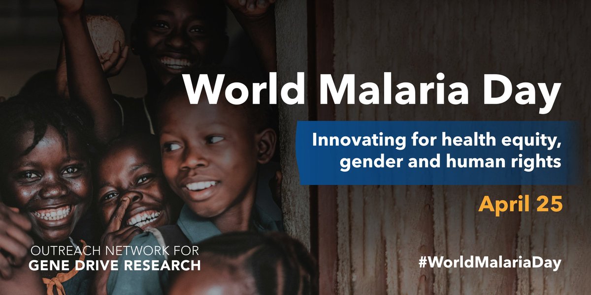 This #WorldMalariaDay, we are celebrating 12 researchers working to #AccelerateTheFight against #malaria for a more equitable world.
 
 👉 bit.ly/3Jl9XnU

#GenderEquityHumanRights
