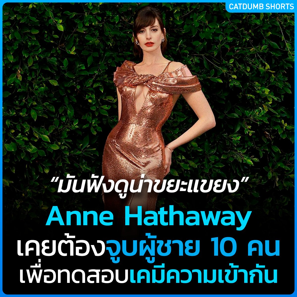 CatDumb - แคทดั๊มบ์ tweet media