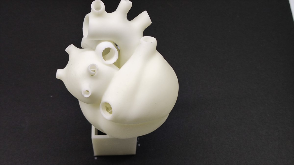 Crafting Realism: DLP Printing White Soft Rubber Heart Model!👍✨😄

#AdditiveManufacturing #3DPrinting #Innovation #zongheng3d #dlp3dprinter #education #design #medical #dental #model #resin #education