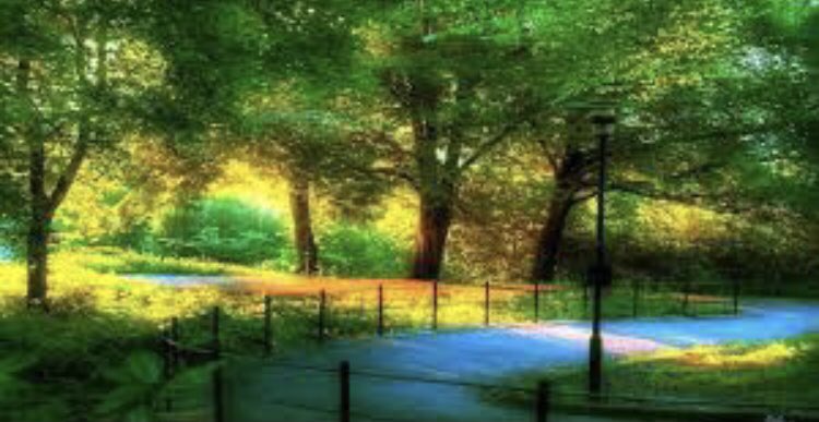 إِن كنتَ سبباً فِي ابتسامةِ ضائِق، أَو كنتَ سنداً لعثرةِ مائِل، أَو كنتَ ونساً لوحشةِ وحِيد، أَو كنتَ وطناً لغربةِ شرِيد، فأنتَ جمِيل، أنتَ جميلٌ بقدرِ مَا تطيبُ بكَ الأحوَال، أنتَ جميلٌ بقدرِ مَا تتركُ فِي الناسِ مِن جمَال💕