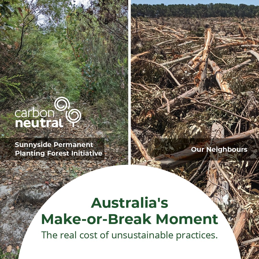 Carbon Neutral is proud to introduce the Sunnyside Permanent Planting Forest initiative. Discover more about this unique project and seize the exclusive, limited-time investment opportunity 🔗 hubs.ly/Q02tKcYH0