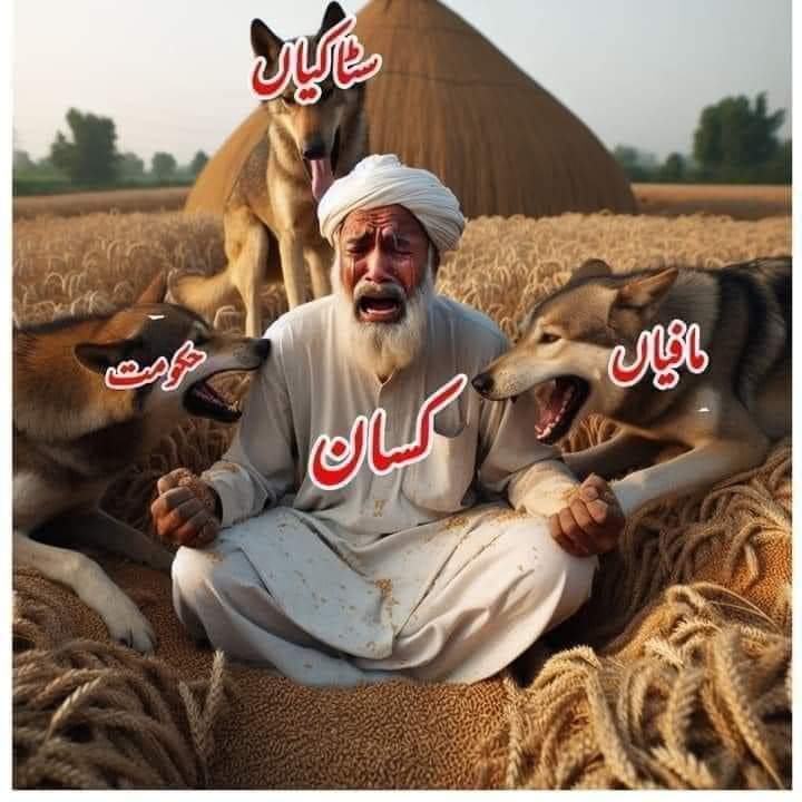 #آؤ_کسان_کی_آواز_بنیں

فرٹیلائزر کمپنیاں 152 ارب روپے کی ڈی اے پی کی سبسڈی کھا گئی اور کسان کے کوپن کے اندر سبسڈی کی رقم موجود ہی نہیں۔
لعنت ہو ایسے ظالموں پر
@TeamPakRising 
#PTI_Folllowers