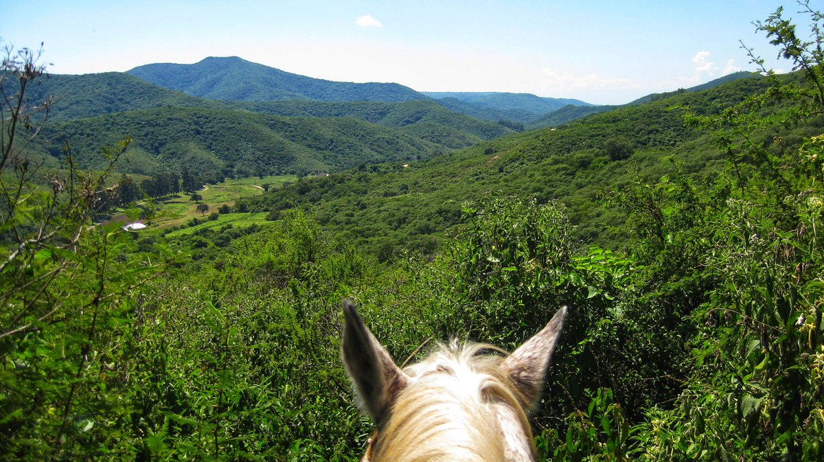 Salta in Northern Argentina is surrounded by lush forests on one side and what is referred to as the Mini Grand Canyon in the other. Great place for horse riding and drinking wine, it's also the gateway to the Andes #photography #travel #nature #photography #naturephotography