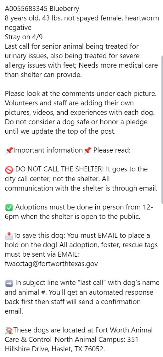 🚨8yo Blueberry #A0055683345 is ABOUT TO DIE!🚨 was code red. foster took her home but is bringing back because not🐱friendly. Per shelter networkers, SHE'LL BE KILLED ON ARRIVAL. who can save her?! #fosteringsaveslives #fortworth #AdoptDontShop #rescuedismyfavoritebreed