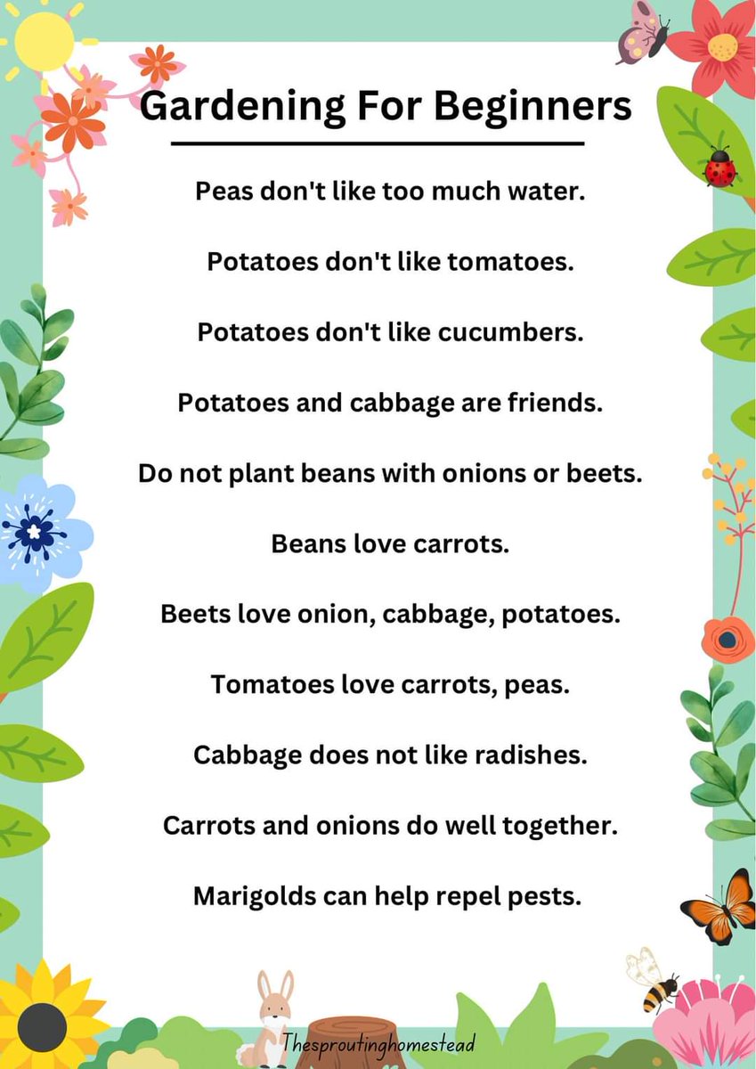 Its Wonderful Wednesday, and today although it is wet outside, all you would-be gardeners out there who want to start a garden, may wish to look at the tips below. #shareyourgardentips @TPASGill @foakparkhull