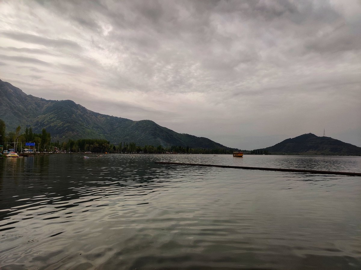 A mighty warrior conquers all
#dallake