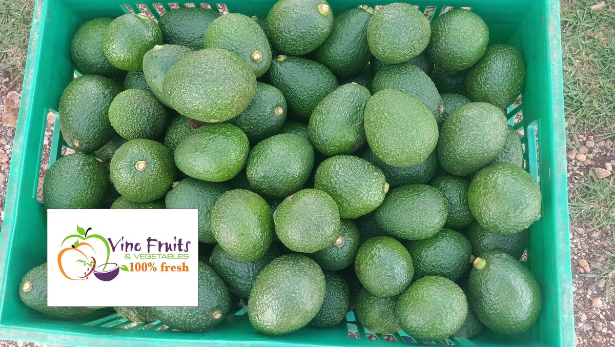 vinefreshkenya's tweet photo. Fresh cut from the farm... 🥑🥑 https://t.co/f4TDK2NeNr