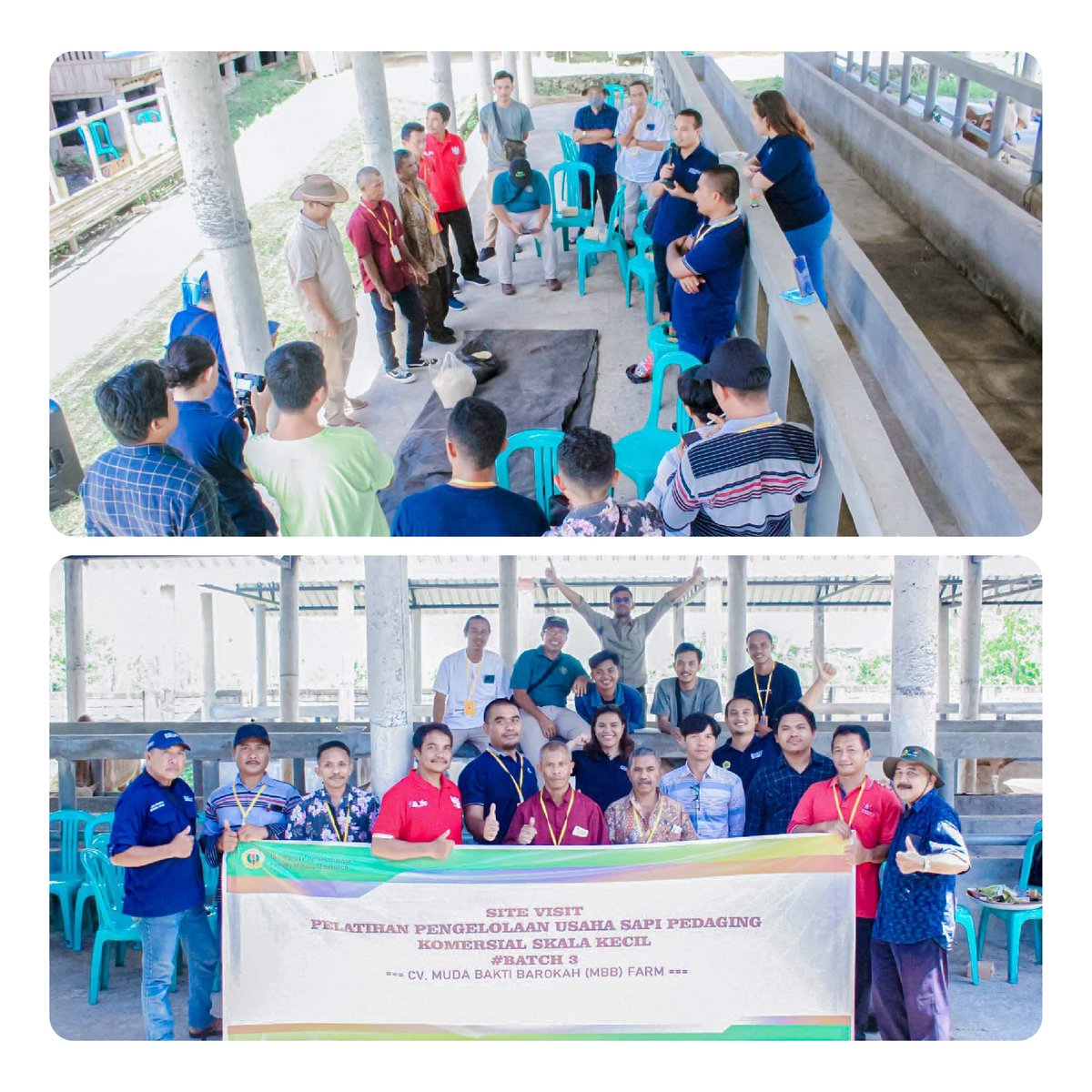 IAredmeatcattle's tweet photo. The training aimed to encourage the efficiency &amp; productivity of small-scale commercial businesses, efficient business management, increased profitability through various business development strategies &amp; business models to advance the cattle breeding sector in Indonesia. https://t.co/nKb4xkuOYT