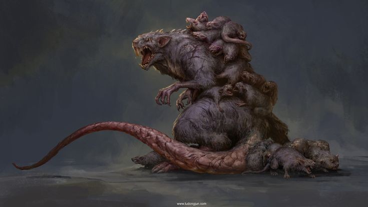 Smileface2778's tweet photo. Rat king (not mine) https://t.co/56QXNBCNjd