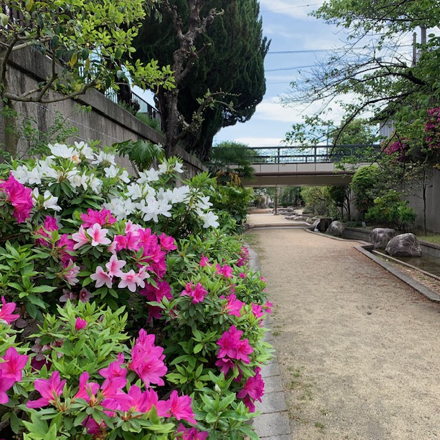 📌ひらかん開店　あと８日間😭📌
5月19日㈰の閉店まで、今日をいれてあと８日間となりました😣とても淋しいです💦
店内の人気&amp;定番商品も徐々に品薄に🙇‍♀️
ご希望の商品がございましたら、お早めのご来店お待ちしています🌈
🍃写真はひらかんより徒歩5分、＃水面回廊 です🛶