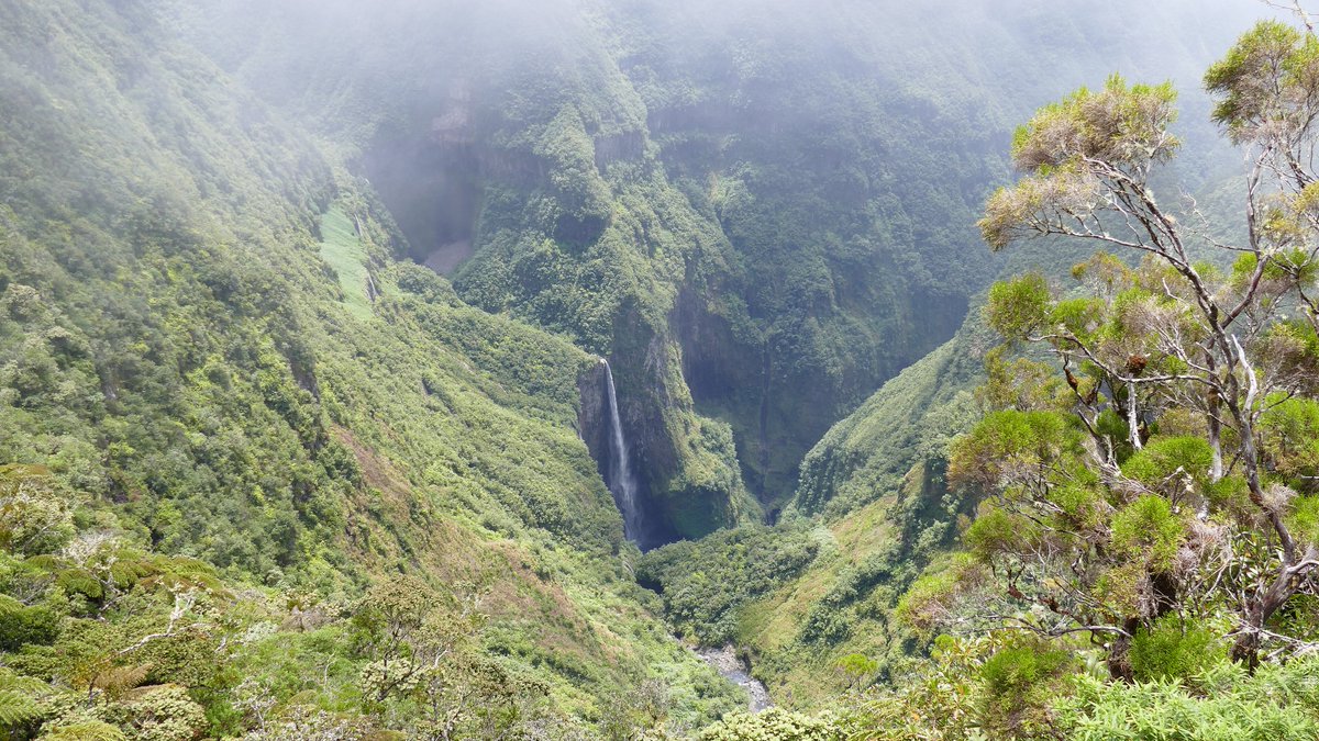 Trou de Fer #IslaReunión 🇷🇪

🌋🌊🌊

Jean-Louis Sicot
commons.wikimedia.org/w/index.php?cu…

Jennifer_greatoutdoors
commons.wikimedia.org/w/index.php?cu…