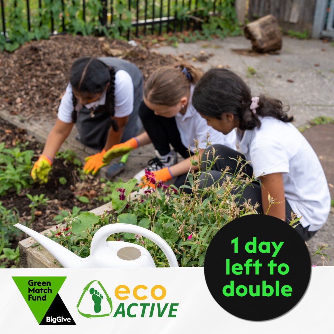 🚨 Last day to double your donation 🐝 Help create vital habitats for pollinators and support our #Hackney community. 💚 With the #GreenMatchFund, every pound you donate will be doubled. donate.biggive.org/campaign/a0569…