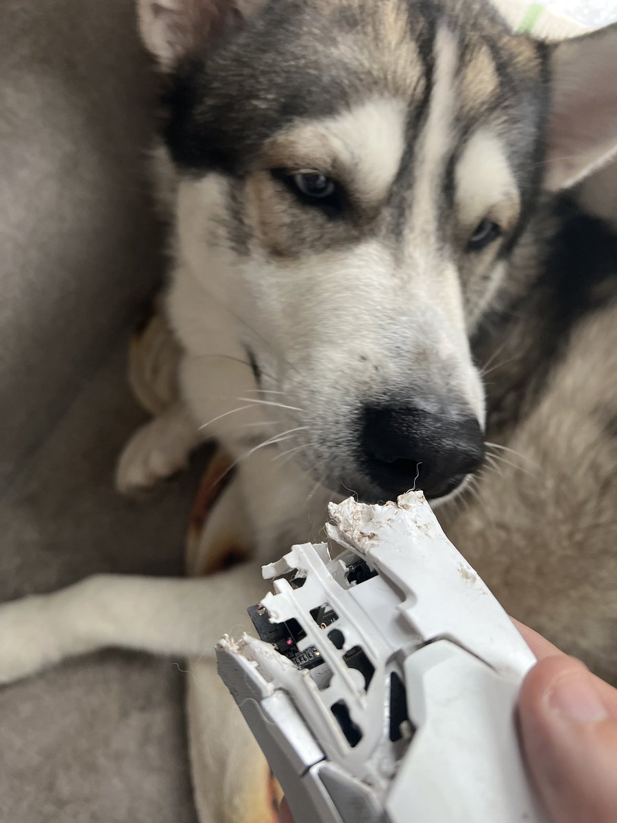 No regrets… this is the 2nd one!! 🙃