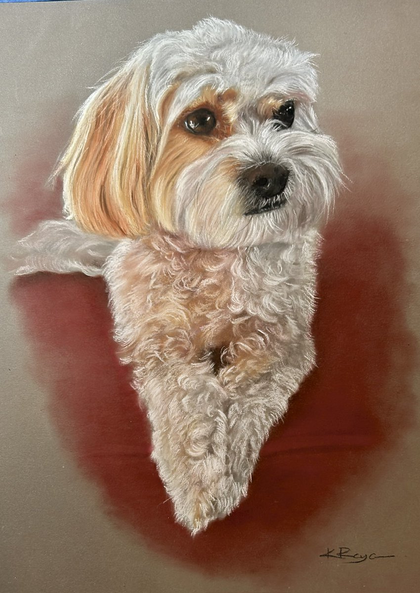 LincsToffee's tweet photo. It’s been a while since I’ve posted, but after being now gifted , I can show Harley here, sadly a memorial piece but now the owners have a precious memory of their fur baby for many years to come.

If you are looking for that special and unique gift please feel free to contact me https://t.co/02U8y50Sza