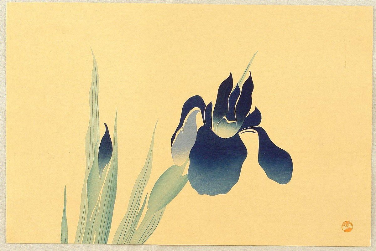 Iris, date inconnue, Ogata Korin (1658-1716, peintre japonais, frère ainé du peintre et céramiste Ogata Kenzan, rattachés l'un et l'autre à l'école Rinpa).
