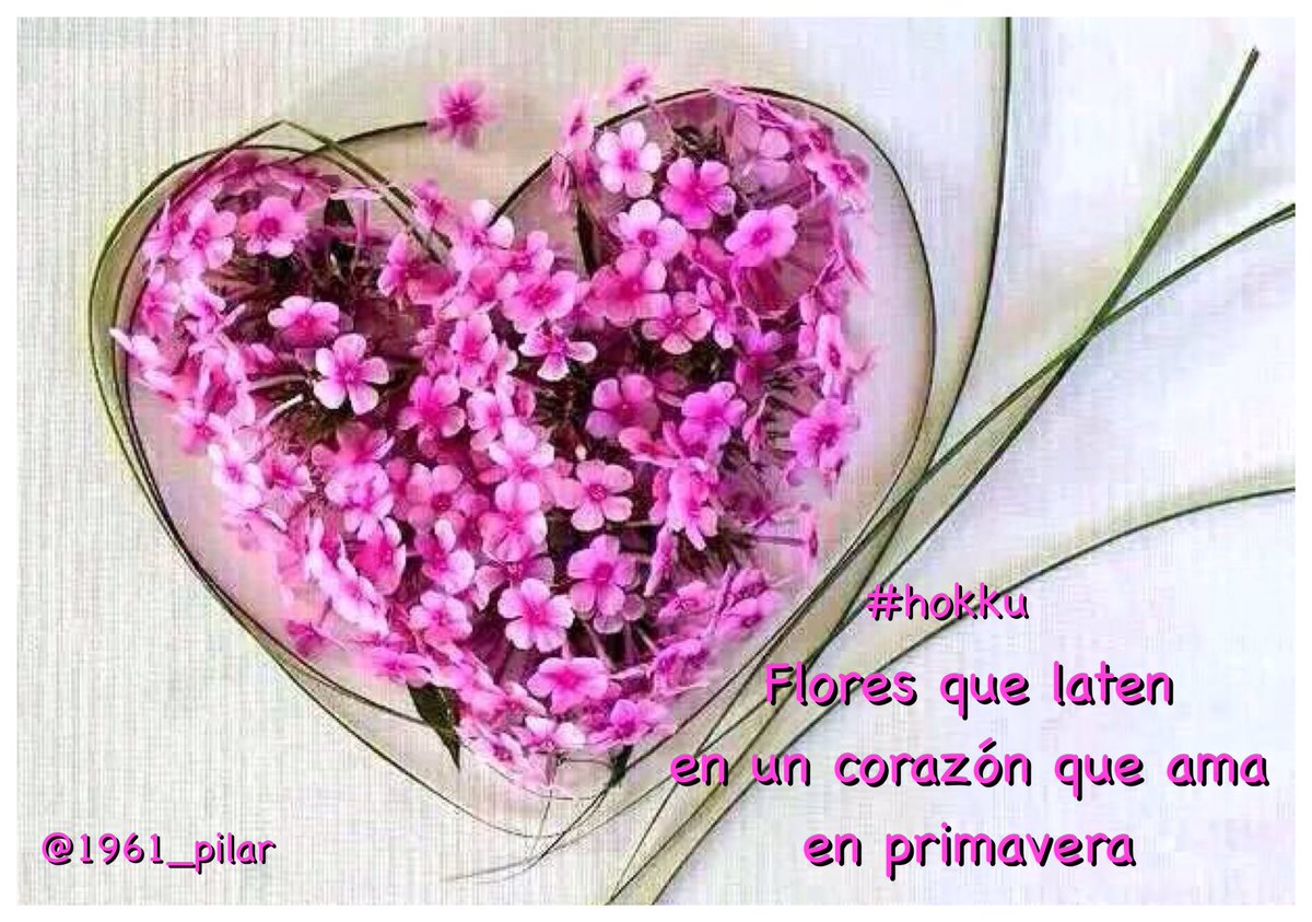 Un nuevo amanecer ¡Buenos días! Flores que laten... ~hokku~ #LYF15 #VAFlorDePiel