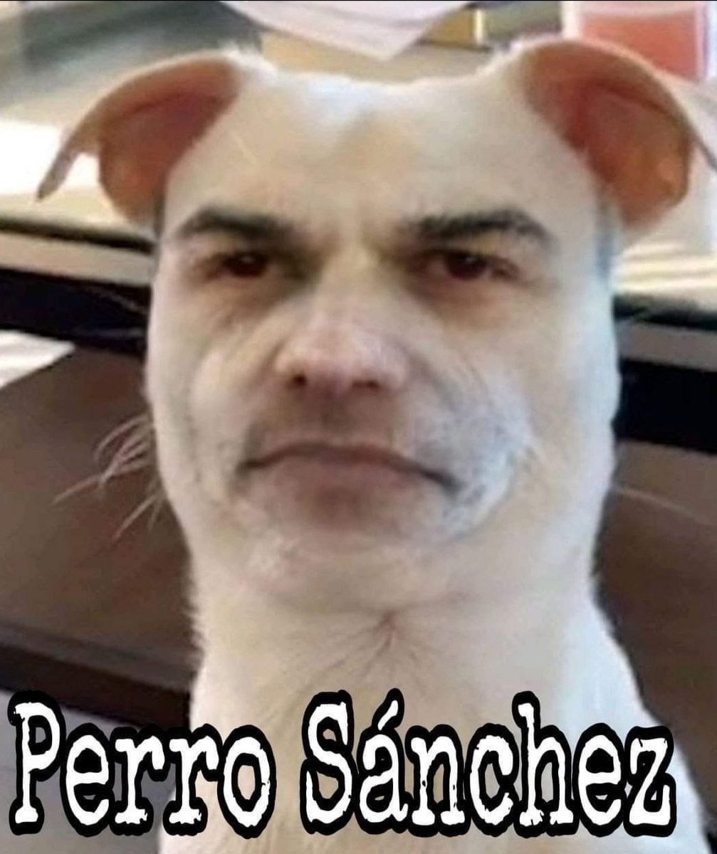 Sátrapa, golfo, falso,
hijo de satanás
#SanchezTraidor
#sanchezHDLGP
#Sanchezcriminal
#sanchezaPrision