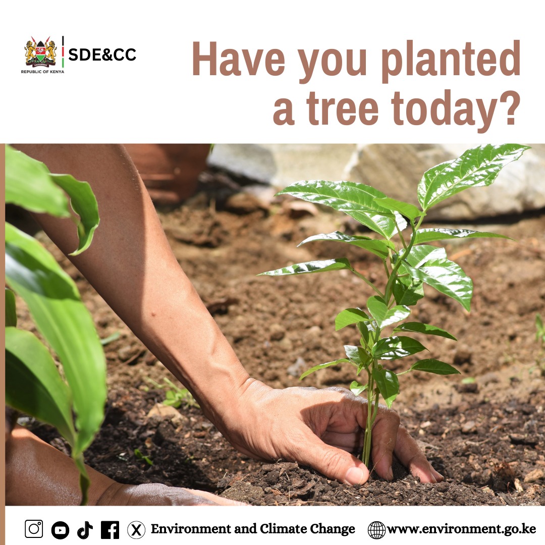 Planting trees can help restore degraded ecosystems and provide habitats for a variety of plant and animal species. Biodiverse ecosystems are more resilient to climate change impacts and contribute to overall ecosystem health. Take advantage of the rain and grow trees #LongRains