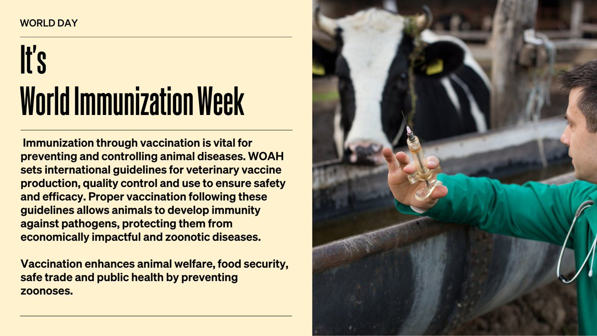 #WorldImmunizationWeek! 
Vaccination protects animals from many deadly diseases like #rabies, foot and mouth disease and avian influenza, also safeguarding #animalhealth, food supplies & #publichealth. 

Let's get our animals #VaccineReady.