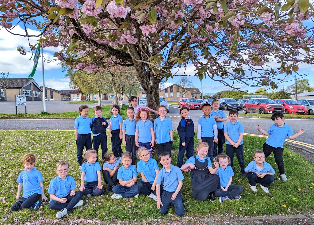 Sandra Hynes tweet media