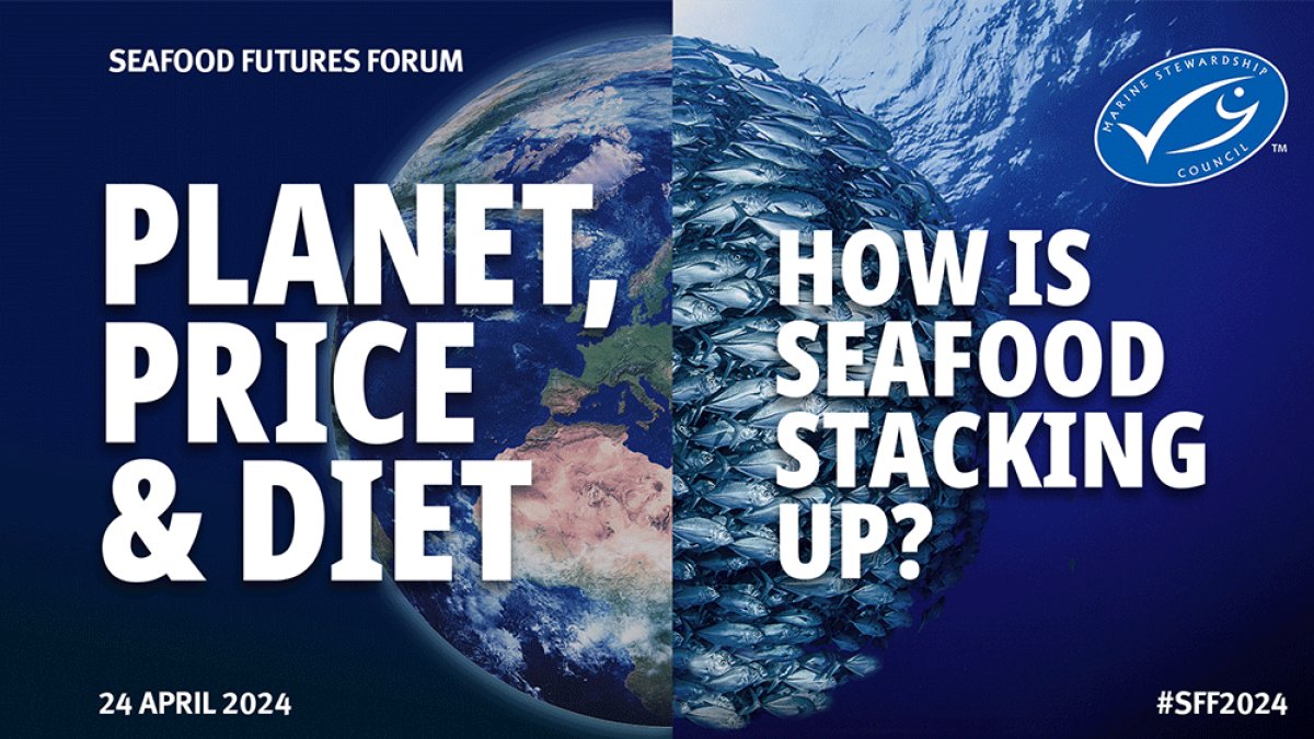 📺 Welcome to those attending our MSC Seafood Futures Forum online or in person. Today’s #ThoughtLeadership event is live from the @SeafoodExpo_GL in Barcelona at 9am CEST 📍 Join and follow the conversation today using #SFF2024 🔗 bit.ly/MSCSFF #SustainableFishing