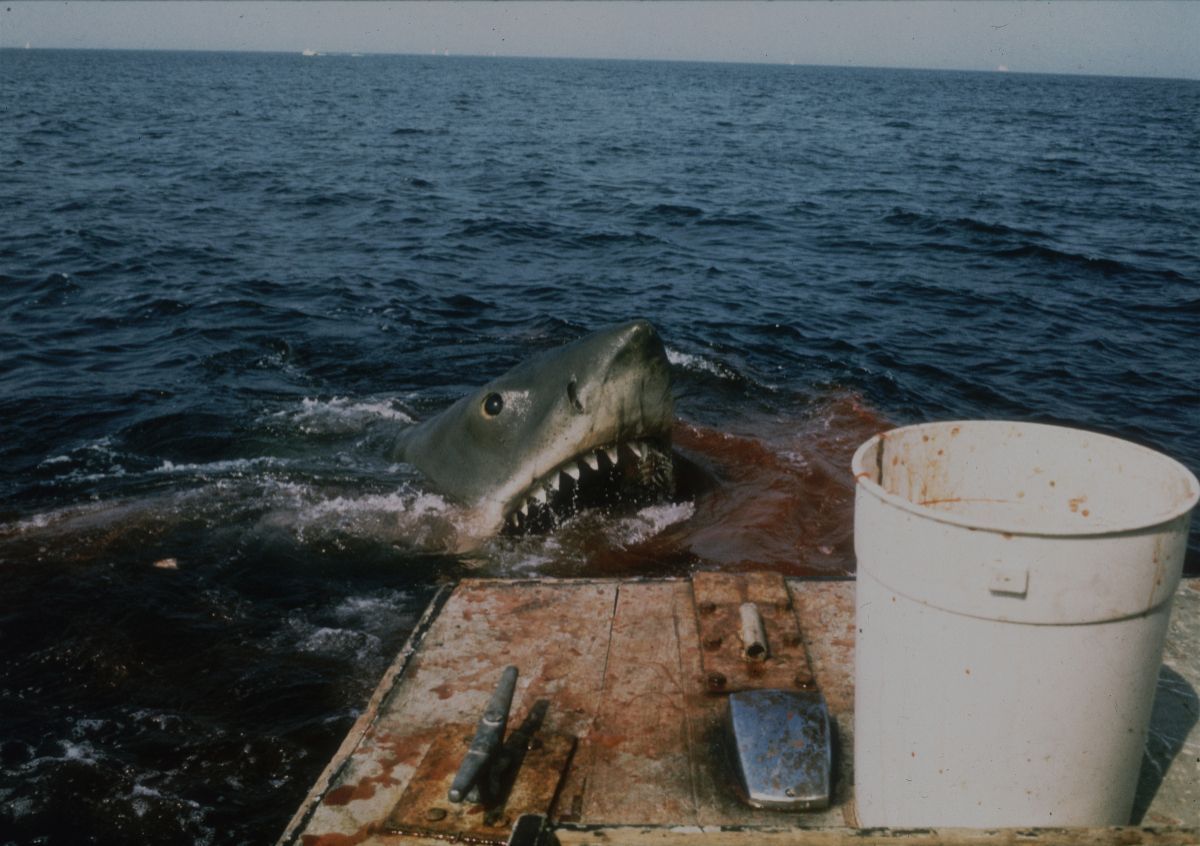 Bruce the #shark from #JAWS just popping up to wish you a happy Wednesday!