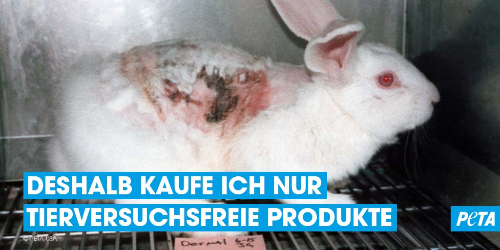 Alle 7 Sekunden stirbt ein Tier im Namen der Wissenschaft – in einer der hunderten Tierversuchseinrichtungen in Deutschland. 💔 #TagzurAbschaffungderTierversuche #Genugversucht #WissenschaftstattTierversuche