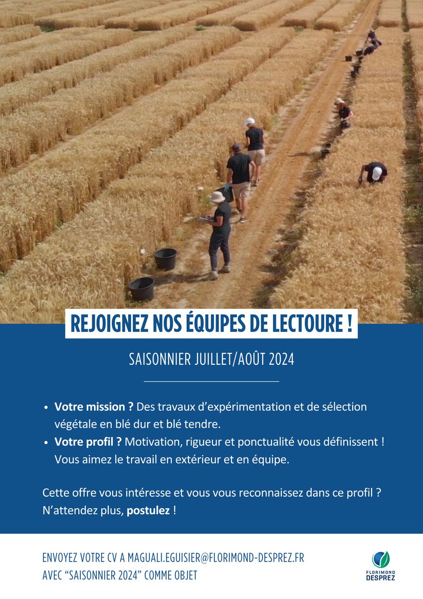 Notre équipe de Lectoure est à la recherche de saisonniers pour cet été ! 🌞

Si cette offre vous intéresse, envoyez votre CV à 📧 magali.eguisier@florimond-desprez.fr avec pour objet "Saisonnier 2024" !🌾 

<a href="/mcochard_FD/">Michael Cochard</a> @LeGers32
