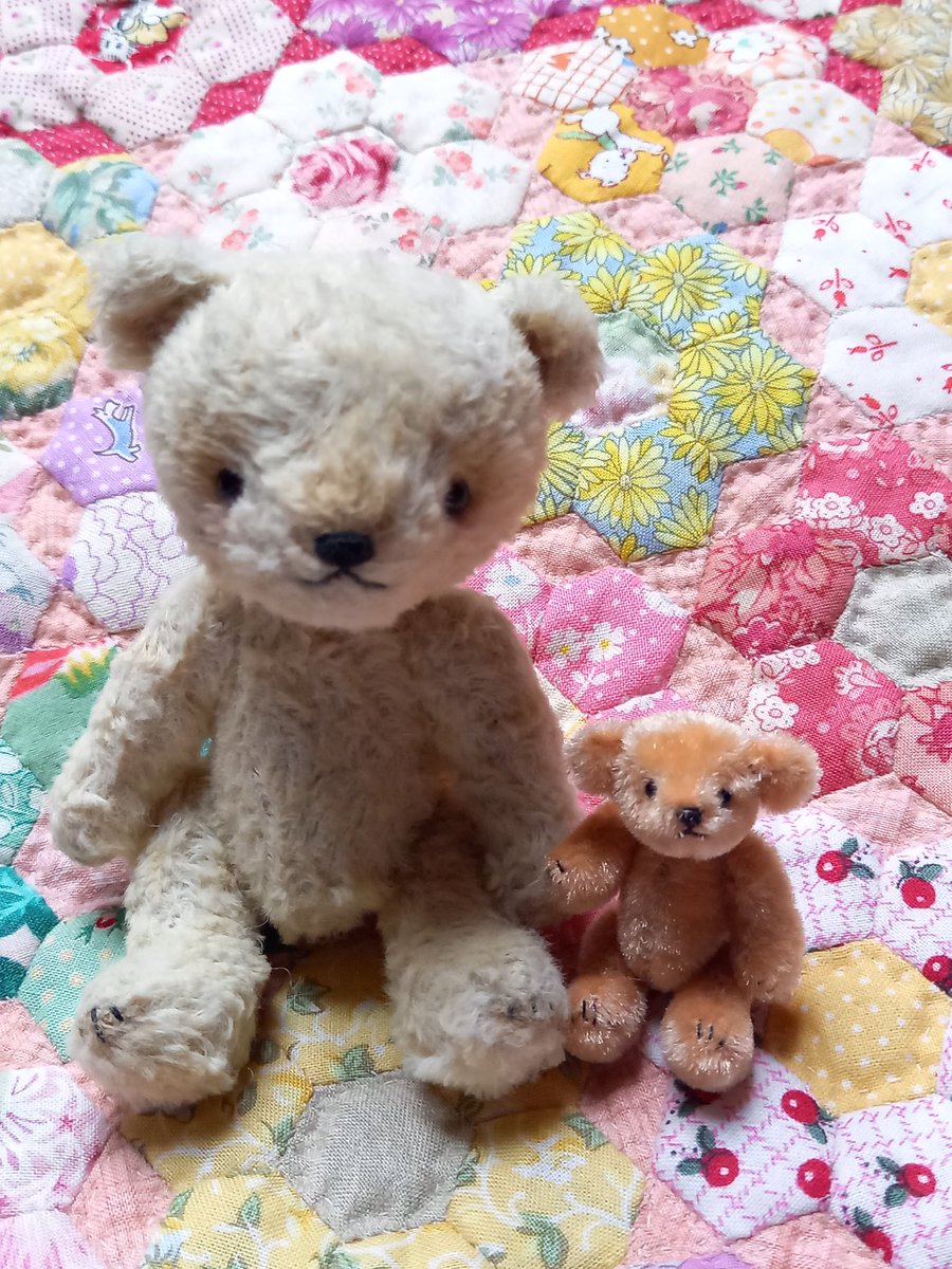 edoyakumaneko's tweet photo. 25年前の型紙で作成しました～🐻

身長4.5センチ～☺️

今は丸顔だけど、この顔が好きです☺️

#magicpaw
#ミニチュアテディベア https://t.co/wPOHbVWAmF