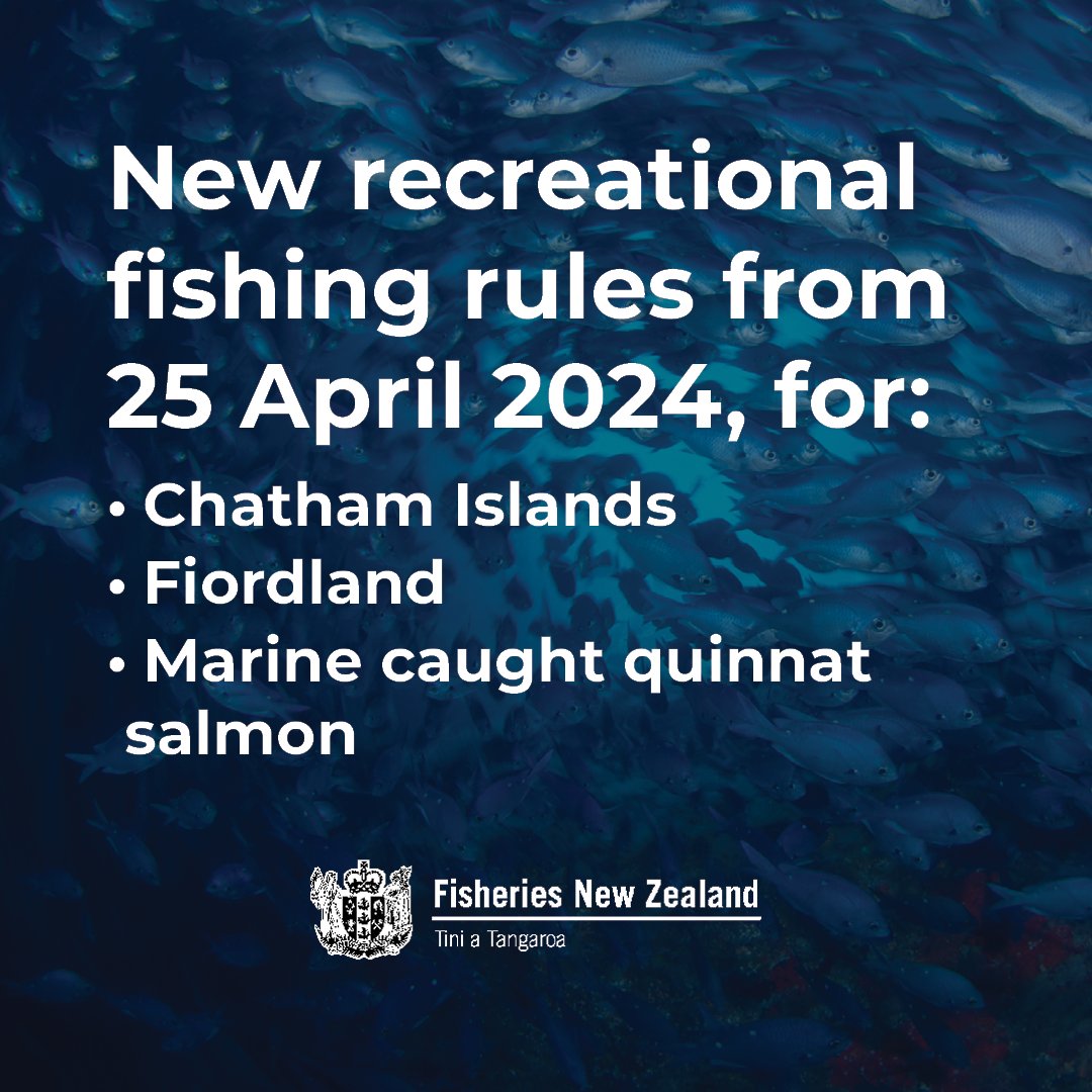 New recreational fishing 🎣 rules for the Chatham Islands, Fiordland, and nationwide marine-caught quinnat salmon come into force on 25 April. To ensure fish stocks in these treasured parts of NZ are sustainable now, and in the future. New rules, here: bit.ly/38b7f1d