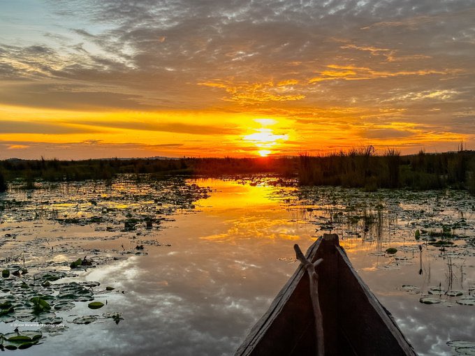 📍Mabamba Bay Wetland The best place in Uganda to spot a Shoebill Stork 📸 @NewmanDixon1