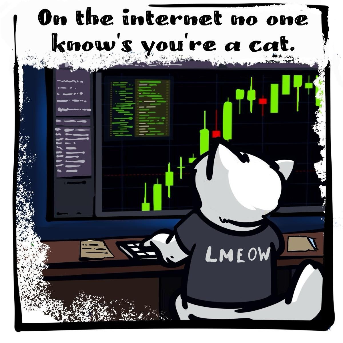 Found the actual 'Bonk Guy". Surely not a hooman but a ket! $LMEOW