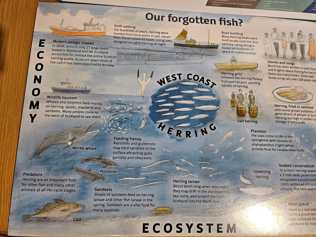 Great to catchup with some of the fishermen and join the wester Ross fisheries trust meeting in Torridon where we looking at the ecological condition of the local fresh and saltwater environments