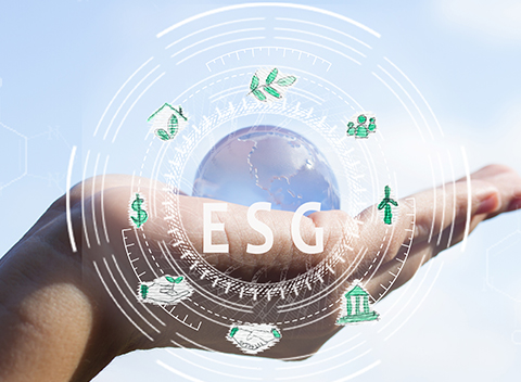 ✔️We emphasizes the interconnectedness of people, the planet, and the economy through various projects to solve these #problems.⚖️