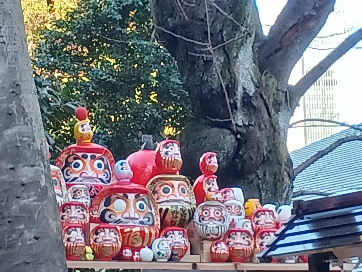 “Daruma doll” in Atago shinto shine⛩️ ,new year 2024.
A figure which imitates Bodhidharma.A round traditional Japanese doll.Lucky charm.