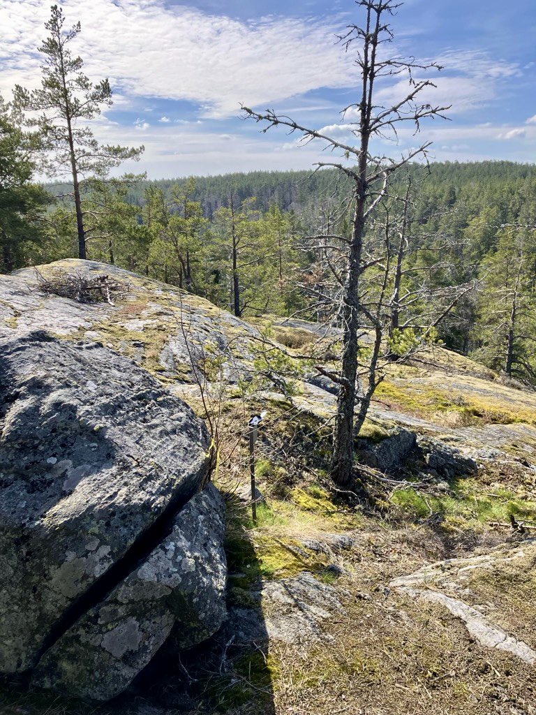 Tove Alexandersson och Albin Ridefelt klara för start i Järlas långdistans i Erstavik nu på lördag 27 april. Anmälan öppen till fredag kväll kl 18.00.