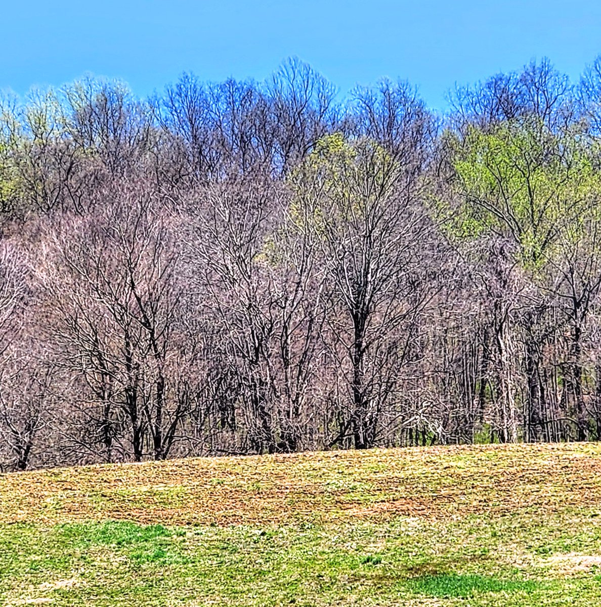 🌿🌾🍃SPRING DAYS 🌞😎