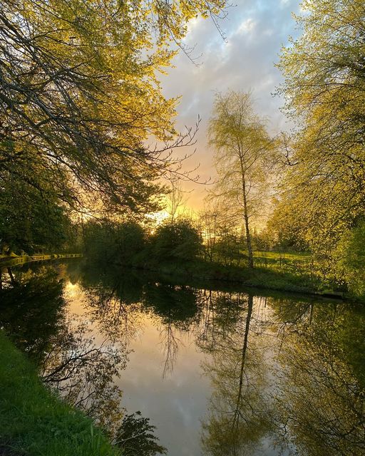 An amazing morning, with drying out paths, a couple of herons fishing, bird song all around and being completely surrounded by light, sunlight. Totally stunning! #dailywalk #timeinnature #wellbeing #canal #earlymorning #sunrise