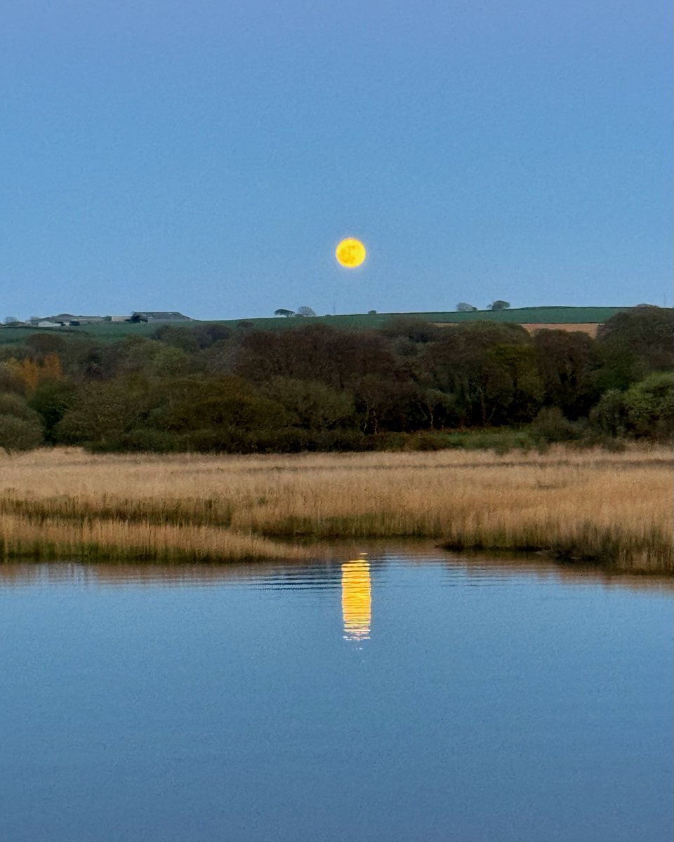Wonderful to watch the magnificent #pinkmoon rising over Newport Estuary last night. #PINKMOON2024 #fullmoon #newportpembs #newportpembrokeshire #newportestuary @ItsYourWales @StormHour @thephotohour