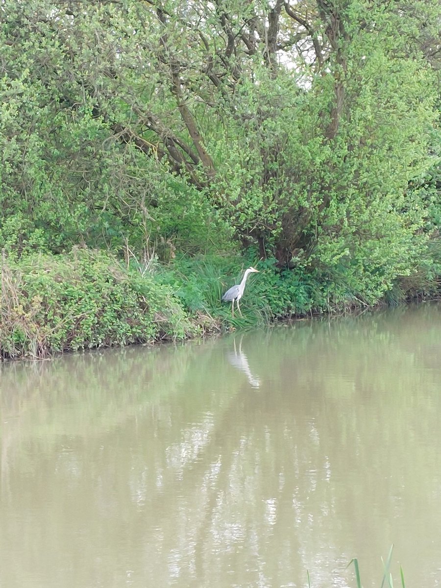 grecian10681068's tweet image. Another great day on the canal yesterday. 
#kennetandavon
#devizes
#melksham 
#caenhilllocks
#wiltshire
