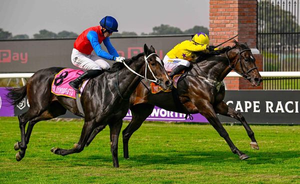 Hollywood Syndicate tweet media