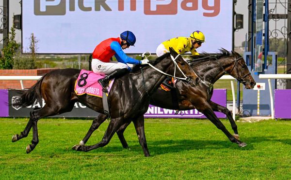 Hollywood Syndicate tweet media