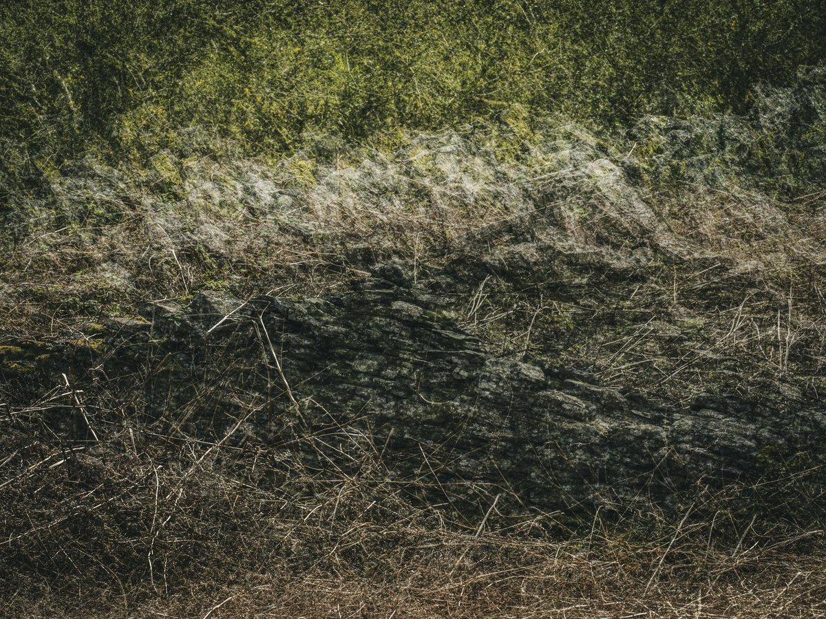 … this old stone wall has functioned as a barrier for many years

and many, many exposures later …

… from the series ‘ 100+ ’

#wales #handbuilt #stone #old #multiexposure #photography #wall #rural #100 #uk #countryside #ThePhotoHour #multipleexposure #photographer #density
