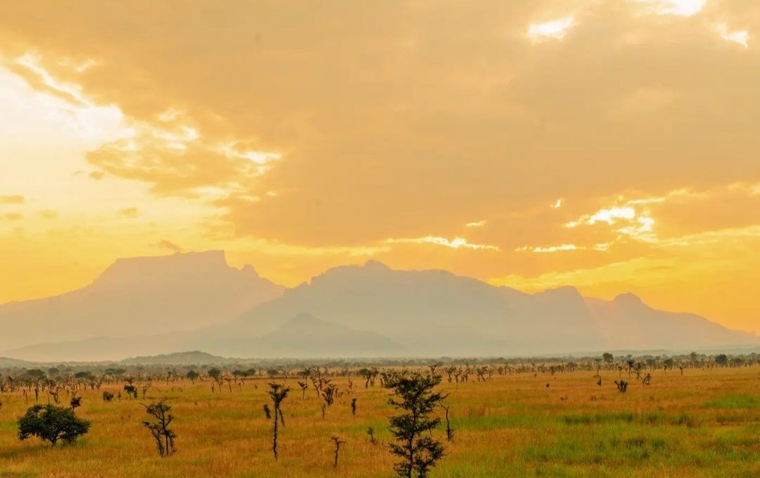 A morning in Matheniko Wildlife Reserve, Moroto District, Karamoja Region. 📸 Courtesy #ExploreUganda