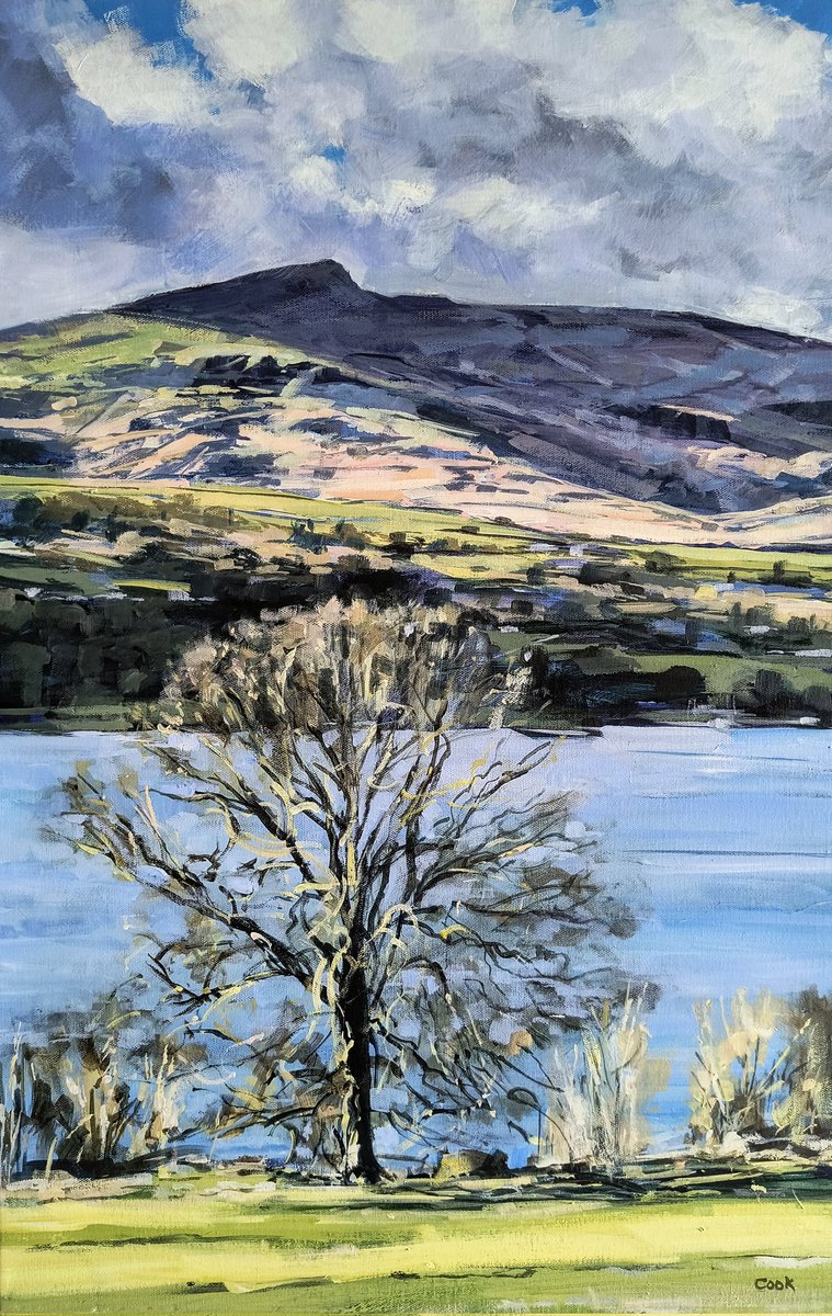 Coniston Old Man from Brantwood 
#art #painting #cumbria #contemporaryart #contemporarylandscape #landscapepainting #lakedistrict #fylingdalesgroupofartists #conistonoldman #coniston