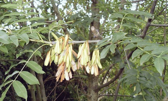 Stephen G. Rae tweet media