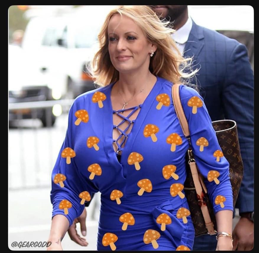 What fashion statement is Stormy Daniels trying to make?