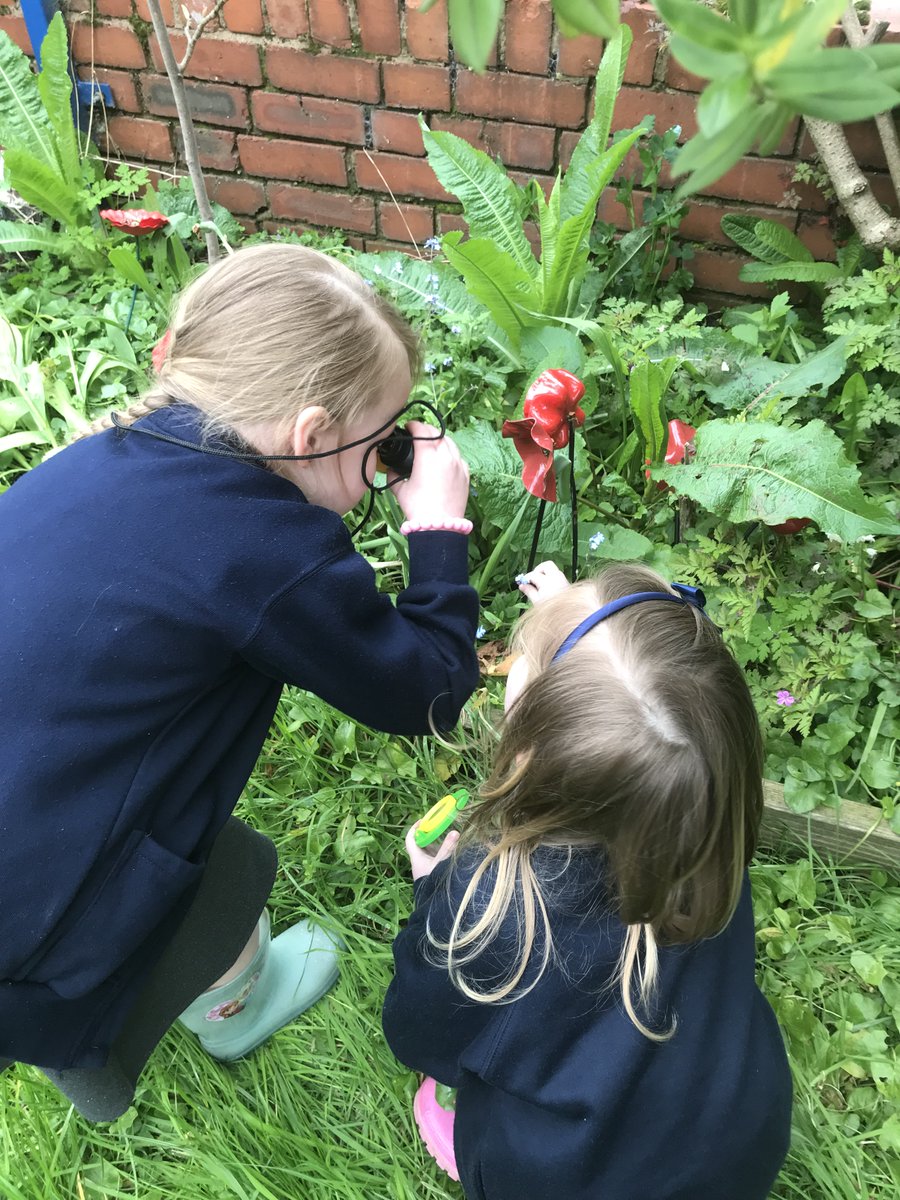 Reception have loved exploring and investigating in the school garden today as part of our Green Week! They found a whole host of interesting things.
